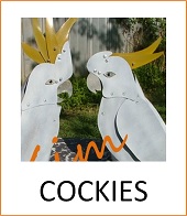 Cockies