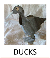 Ducks