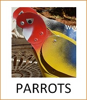 Parrots