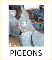 Pigeons